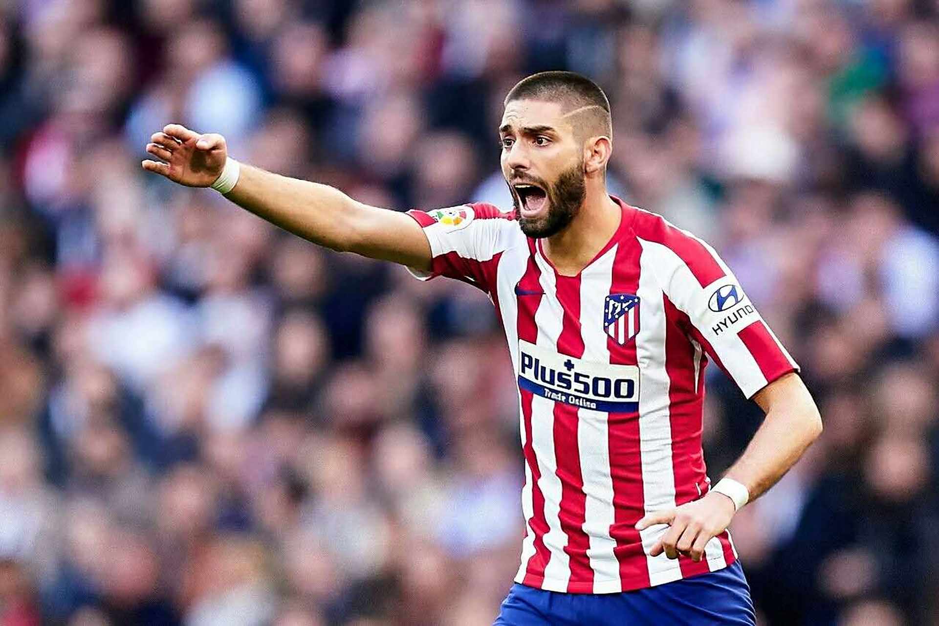 NG SPORTS- 对峙者商战by仰恩